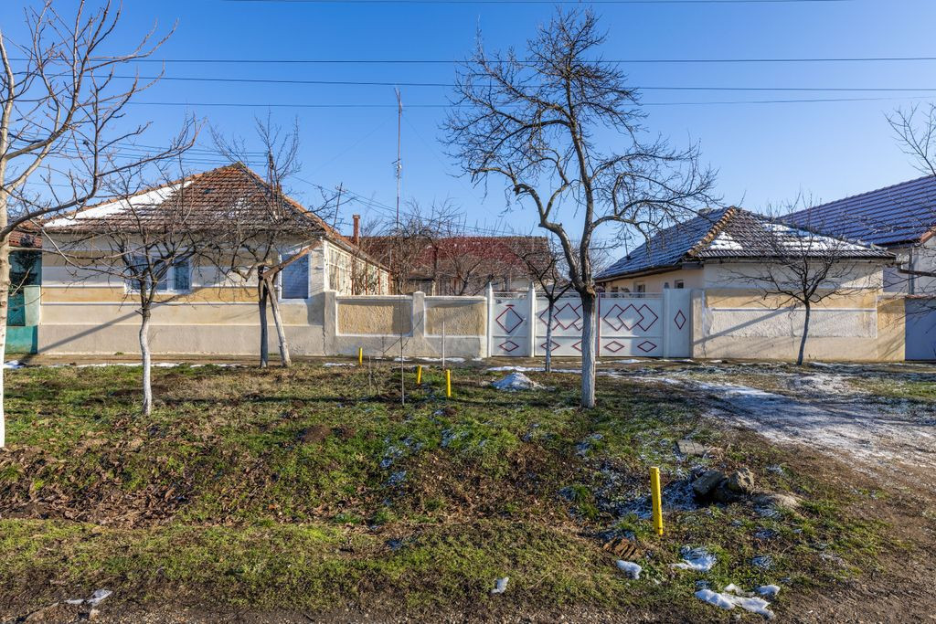 Gospodarie autentică bănățeană, cu teren generos și...