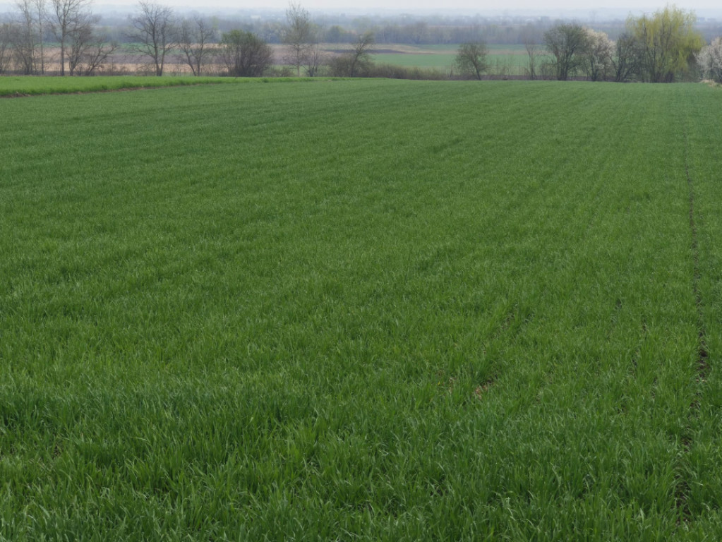 Teren 6000mp, 30 ml deschidere la DN 2H, Horodnic de Jos, Ra