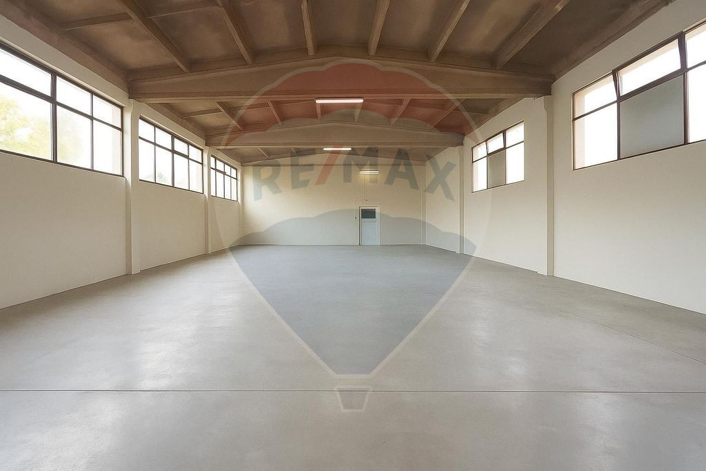 Hală industrială de închiriat în Tăuții de Sus – ...