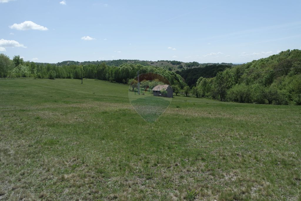 TEREN DE VÂNZARE ÎN PRELUCA NOUA