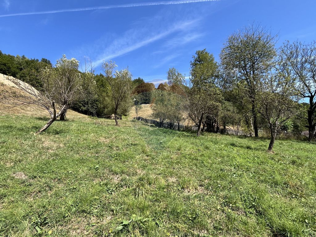 Teren de vanzare Rachitele | Investitie | Comision 0%