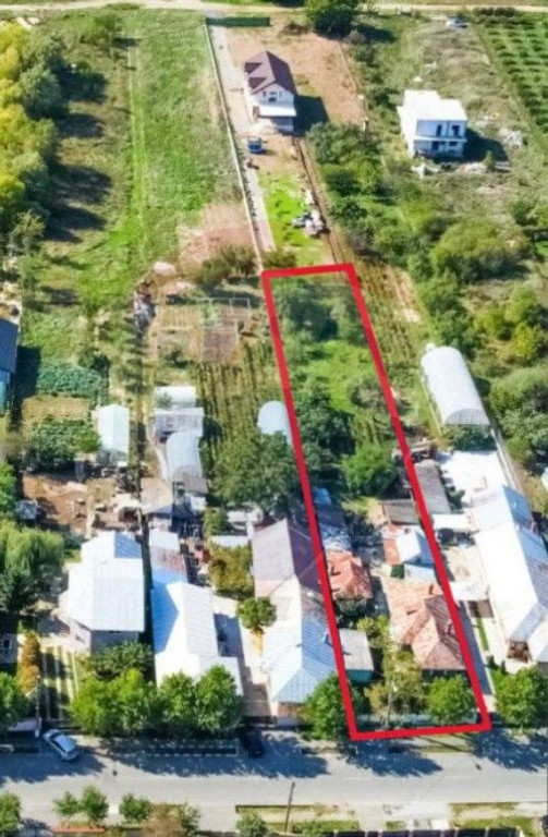 Teren intravilan 1,189mp Buftea - constructii si livada/ ...