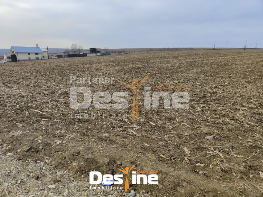 Comision 0% - Teren Primarie Dumesti, 8100 mp, front 13 ml,