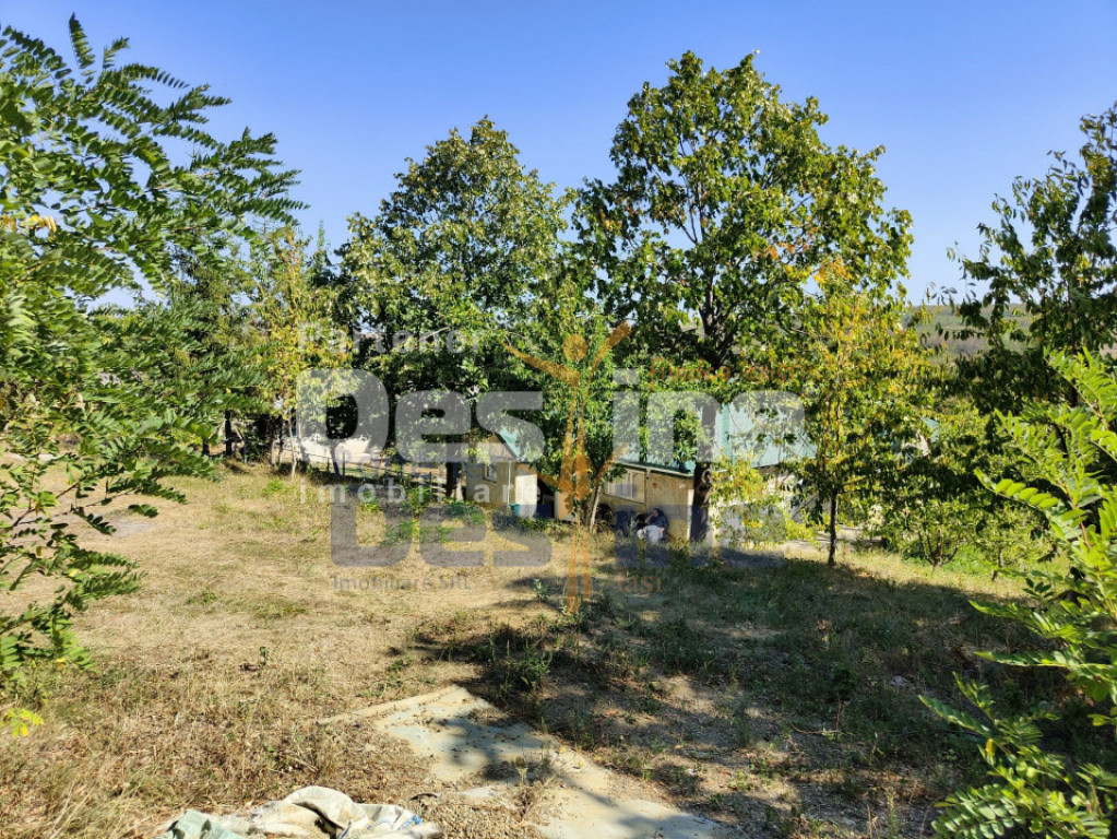 Casă lângă PĂDURE + anexe + 6400 mp TEREN intravilan - s