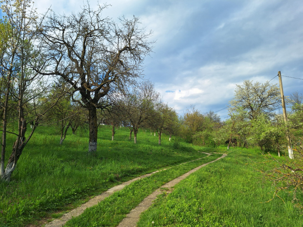 Moșia boierească din vârf de deal, Scorțeni - Prahova, c