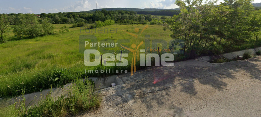 Teren intravilan 8000mp, Comuna Bârnova Iași