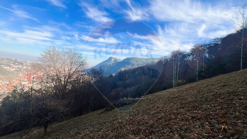 Teren Colinar Panoramic – 17.684 mp în Scheii Brașovului