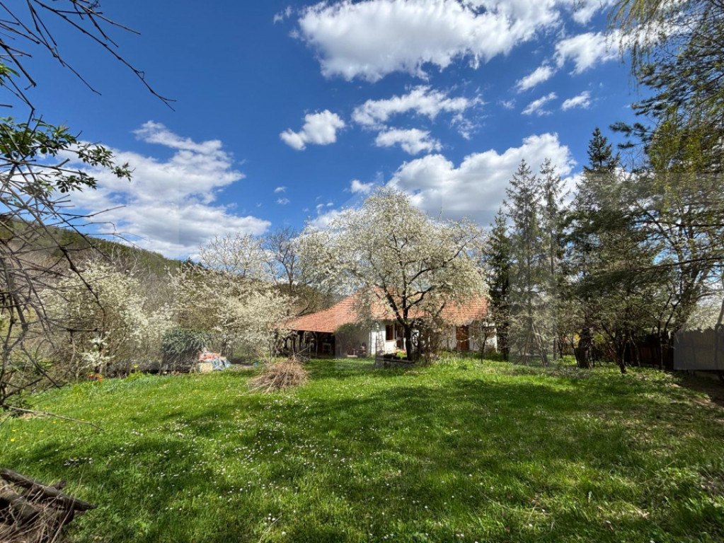 Casă rustică cu livadă în Zălan, com. Bodoc