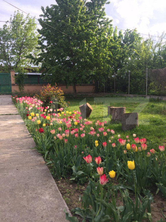 Oază de Liniște în Inima Orașului: Proprietate Exclusivi