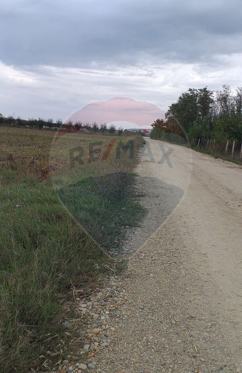 Teren extravilan 3000mp de vânzare la Sântion