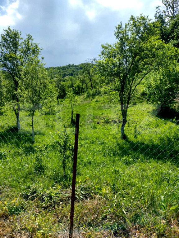 Teren intravilan 3.709 mp, Stremț