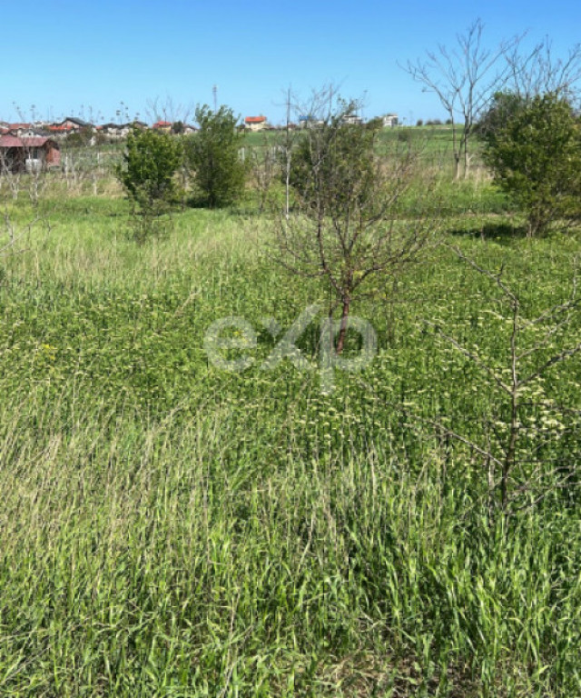 De vânzare teren extravilan, 400 mp, Loc. Techirghiol, Jud.
