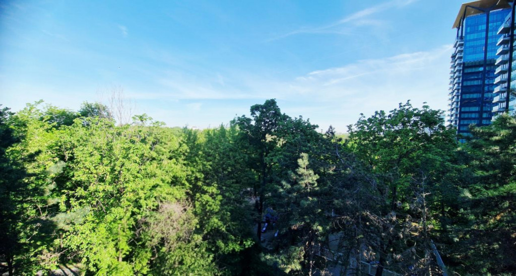 Apartament 3 camere Floreasca-Vedere Parc, liber