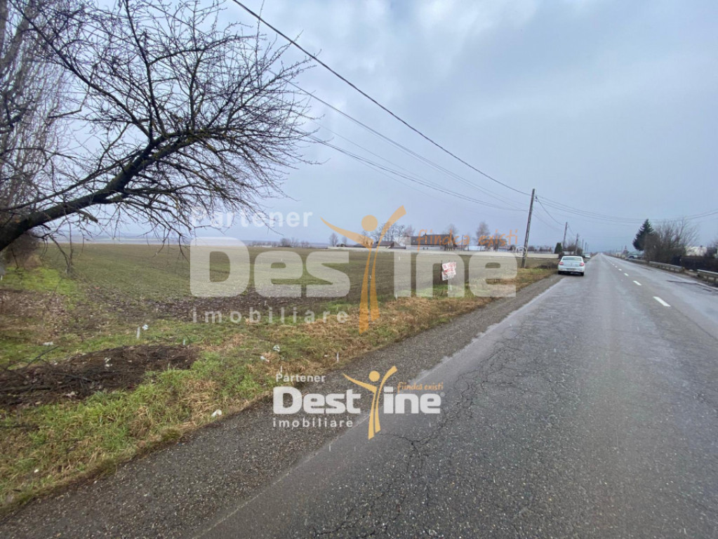 Teren de vanzare Girov- Doina 7200MP 140000