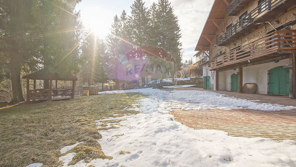 Vilă istorică, proiectată de arhitectul Emil Nădejde ...