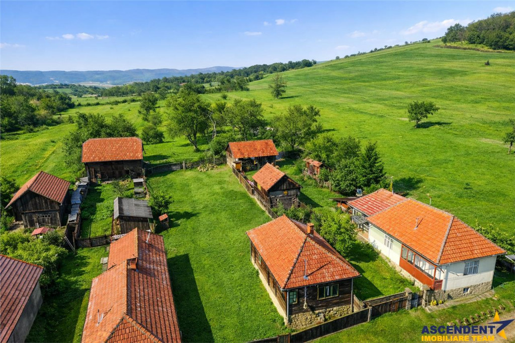 Film! Casa din lemn,cu doua camere, pe domeniu de 2.819 mp,