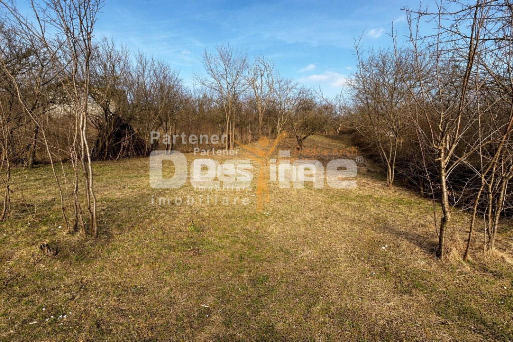 Teren INTRAVILAN, Copou, Viticultori, Iași 1451mp