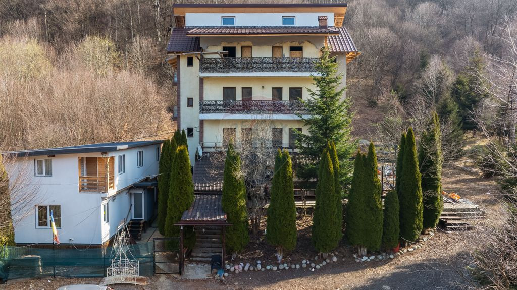 Investiție: Pensiune + Casă lemn, priveliște superbă,...