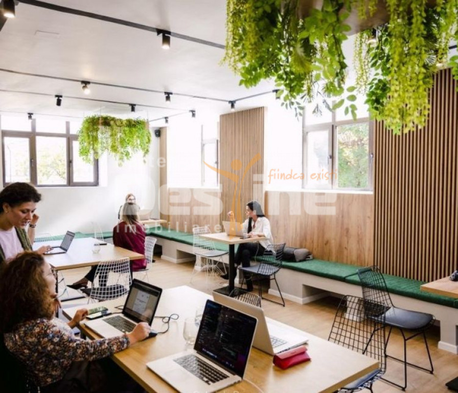 Calea Victoriei I Vila Monument Istoric I Consolidata si Ren