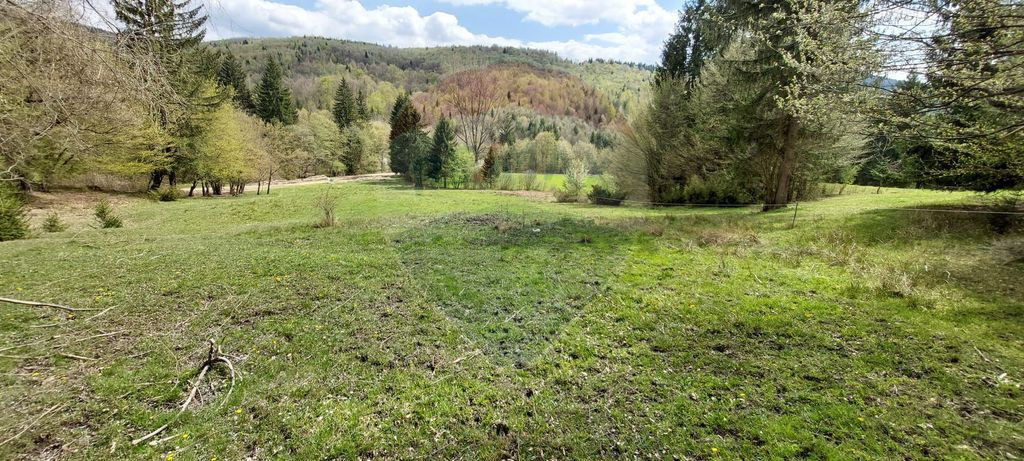 Poienita 2800mp, Covasna, zona hotel Clermont, inconjurat...