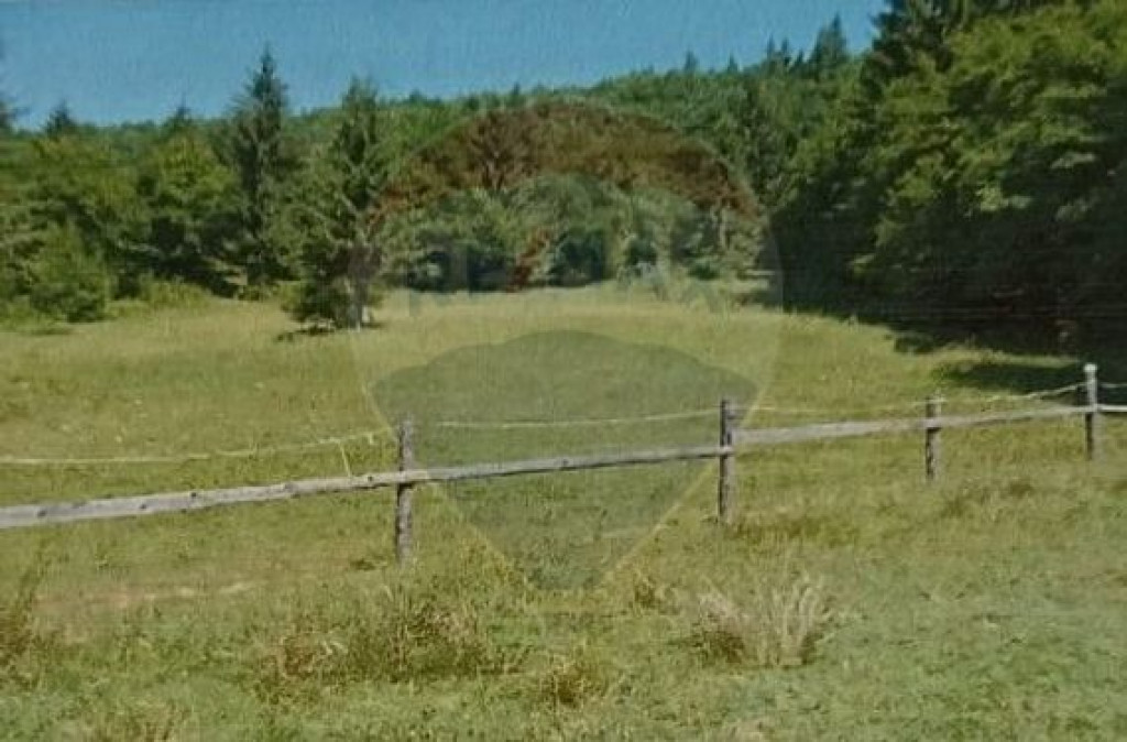 Poienita 2800mp, Covasna, zona hotel Clermont, inconjurat...