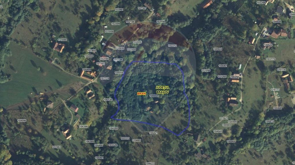 16 E+TVA/mp: Teren Bran Predelut 24253 mp intravilan proi...