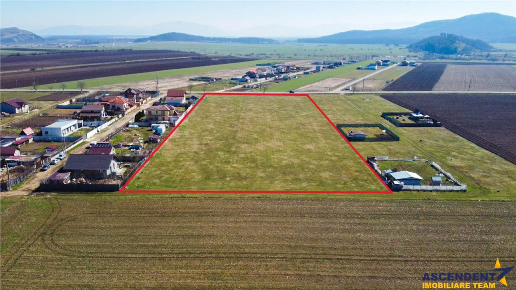 FILM! Domeniu urban, 18.200mp, cu planuri validate, Bod, Bra