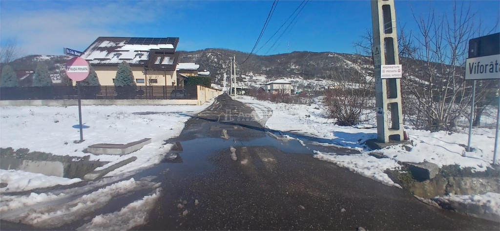 Teren intravilan 6345mp de viforata