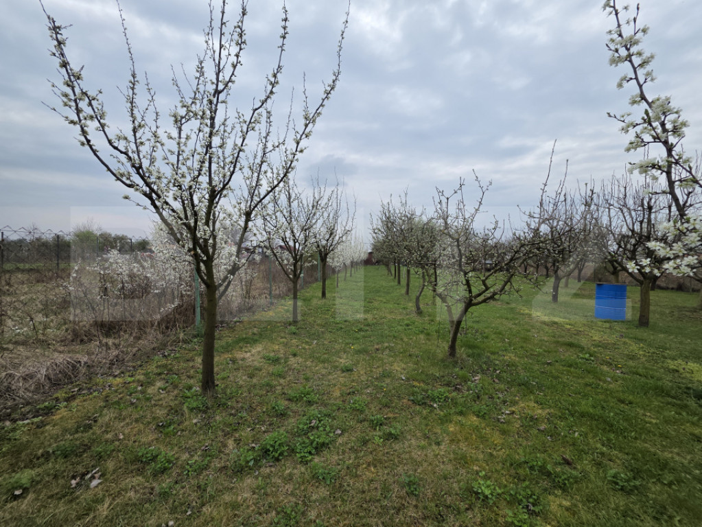 Teren intravilan de vanzare, 2.877 mp, zona Apateu Satu Mare