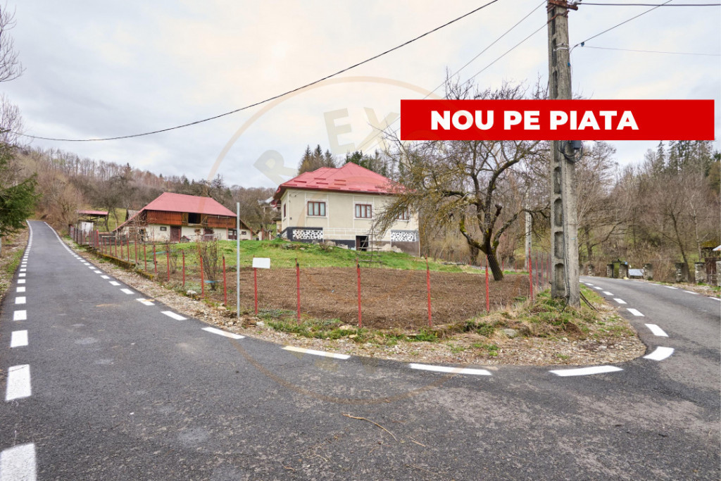 Casa la munte cu teren generos in Com. Nucsoara, loc. Slat