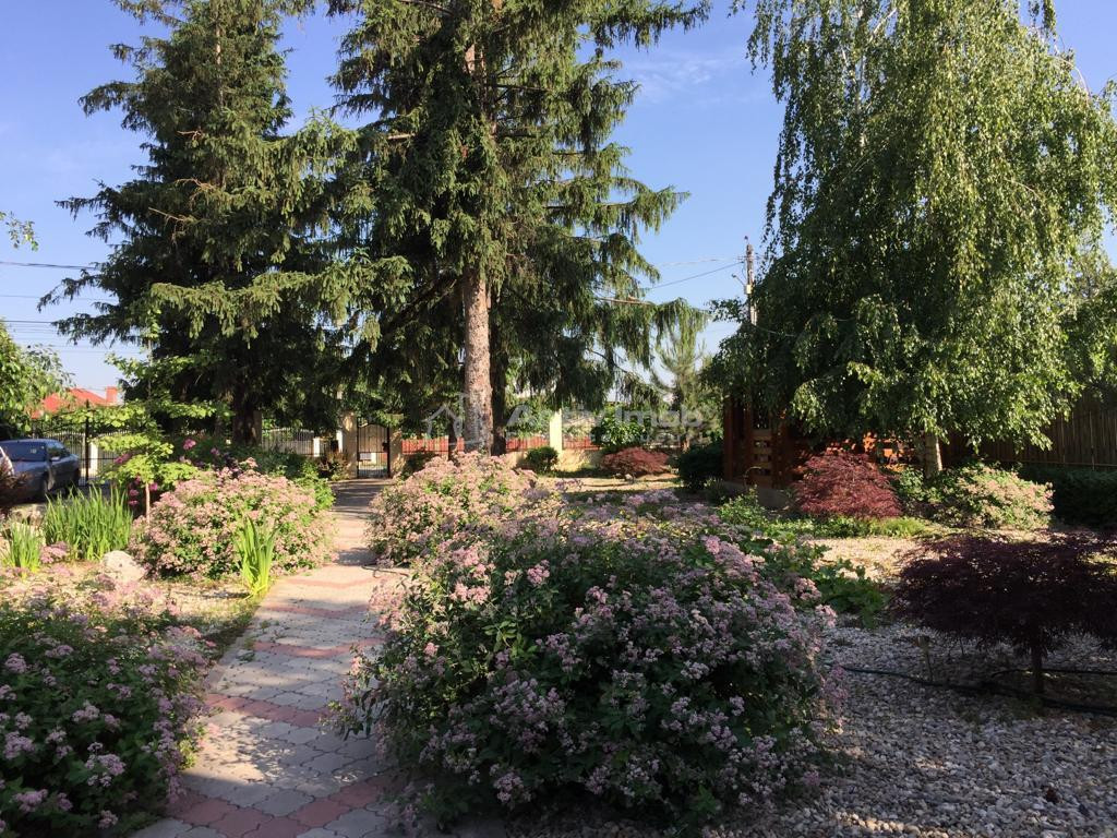 Vila Monumentul Eroilor- Clinceni P 1