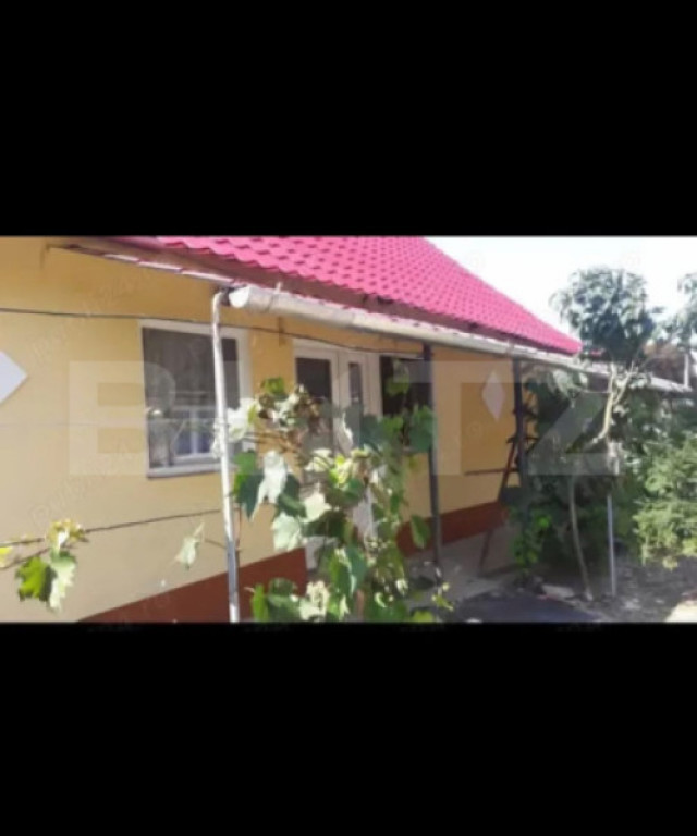 Doua case intr-o curte de 952 mp, Paleu-liniste, spatiu, po