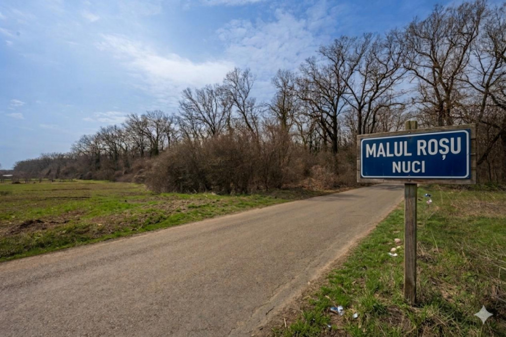 NUCI - BALTA NEAGRA, LOT 3900 MP, LA PADURE!