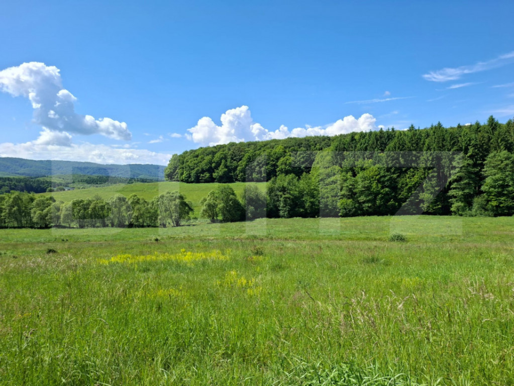 Teren Brasov , Dumbravita ,intravilan 600 mp pretabil casa s