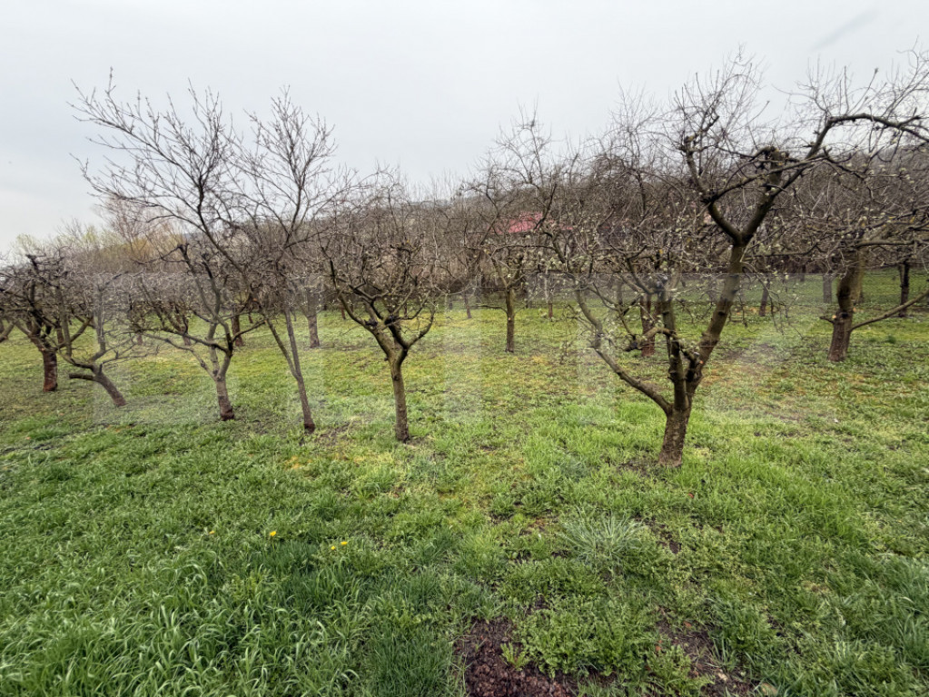 Teren intravilan de vanzare, 1.265 mp - Zalau