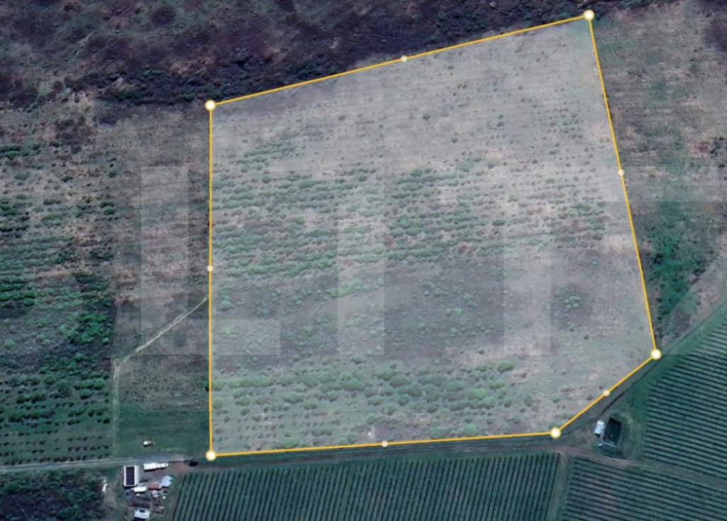 Teren extravilan 4,5ha Lipova