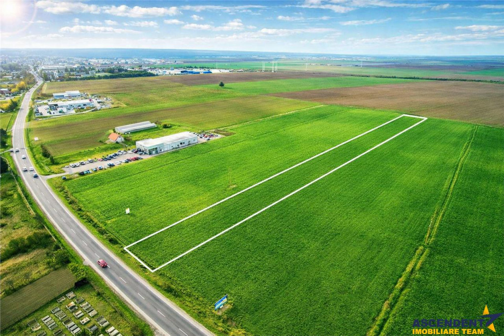 FILM! Teren intravilan 7.850 mp, Chilieni, Sfantu Gheorghe