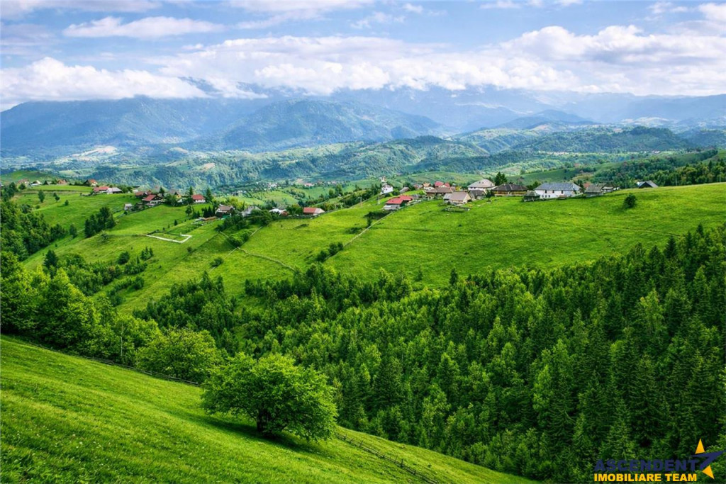 7.000 mp, pozitie spectaculoasa, fara vecini, Fundatica, Bra