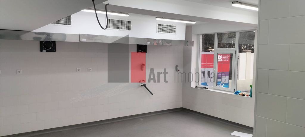 Spatiu Comercial ideal HoReCa, 100mp, curte 40mp, Dna Ghica