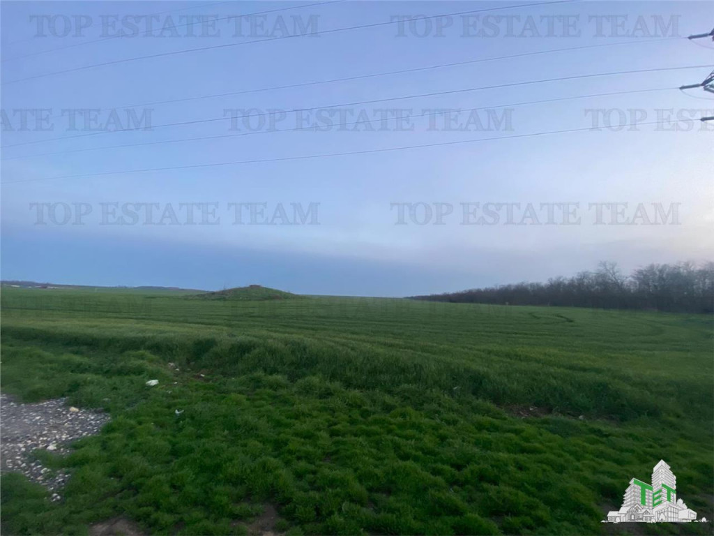 Teren intravilan 15000 mp Costinesti, Constanta