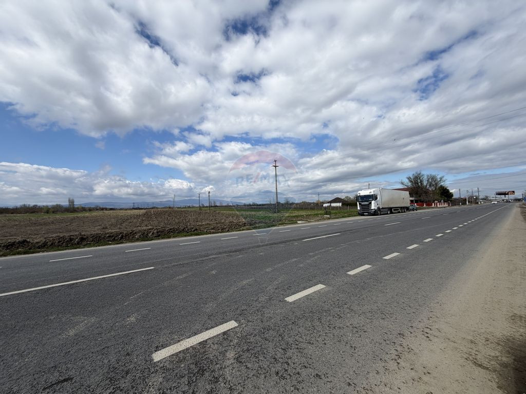 Teren 9,431mp Bizighesti / DJ 205E