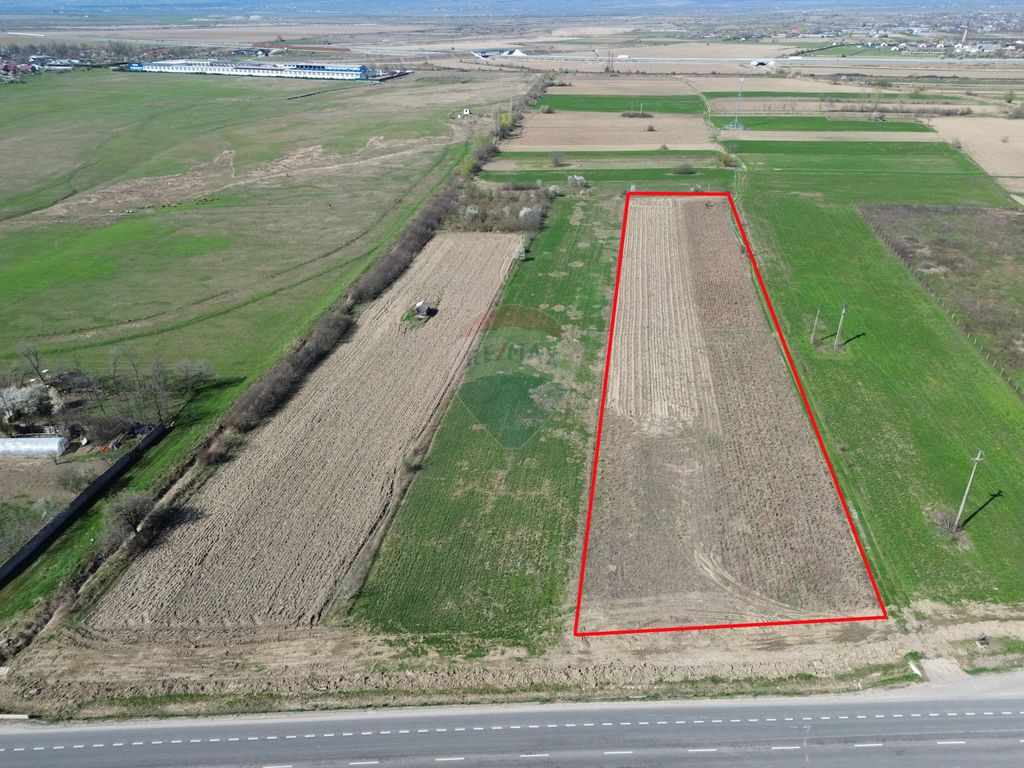 Teren 9,431mp Bizighesti / DJ 205E