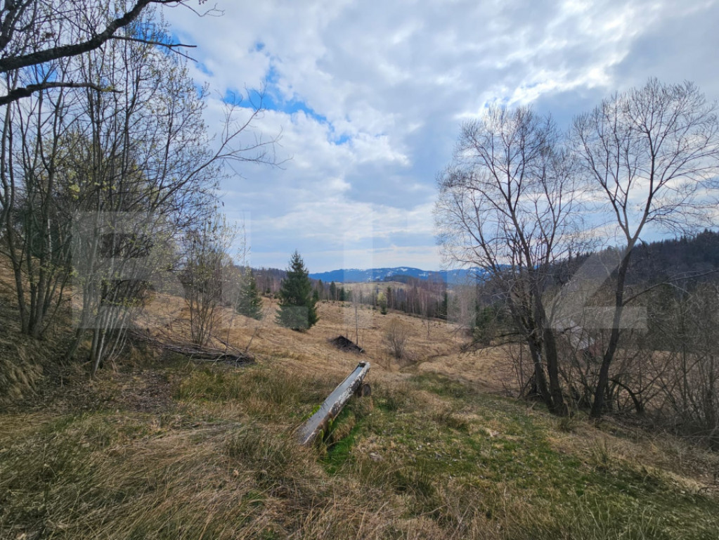 Teren 22.267 mp (intravilan + extravilan) cu construcție, T