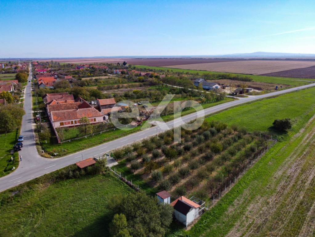 Teren cu livadă de vânzare – Sârbova, poziție excelent