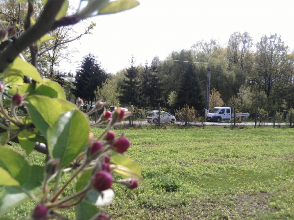 Intravilan 572 mp , loc de casa , zona padure Baicoi Prahova