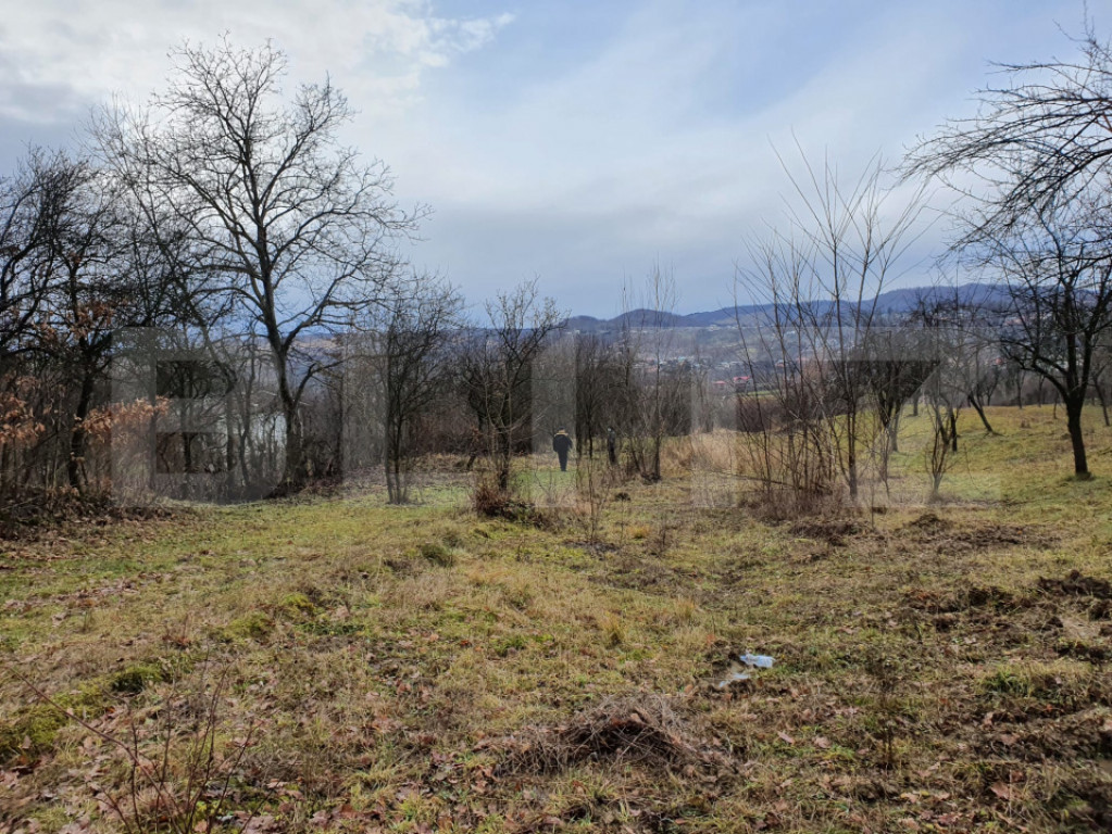 Teren in Glodeni DB- 770 mp - 5,500 E