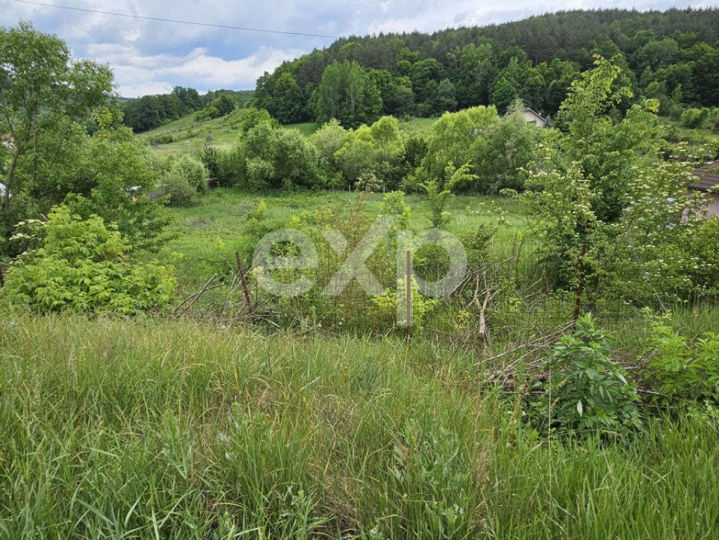 Teren 7,797mp Podis / Calea Moinesti