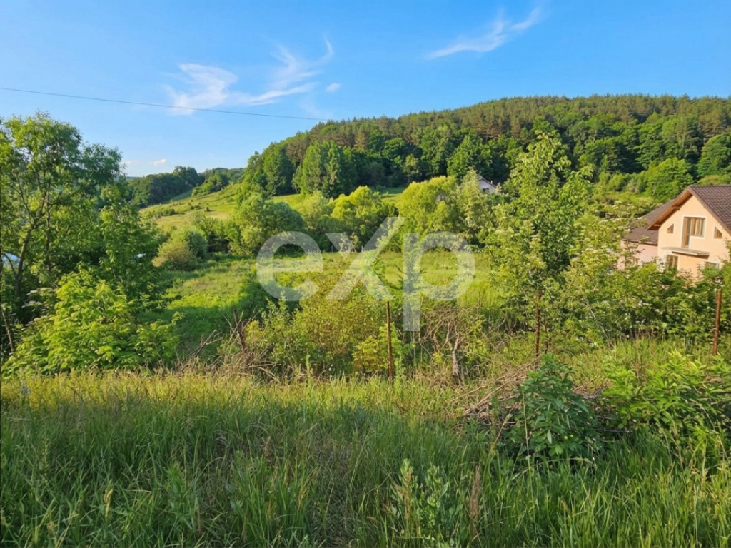 Teren 7,797mp Podis / Calea Moinesti