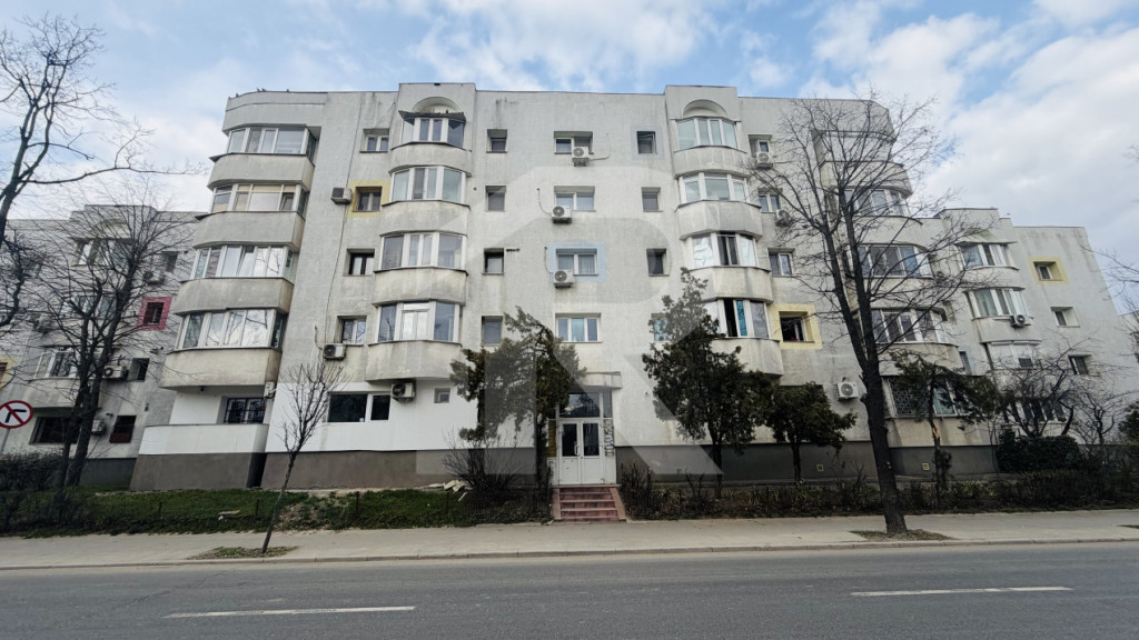 Garsoniera 42 mp, Aviatiei – Serbanescu, Parter stradal -I