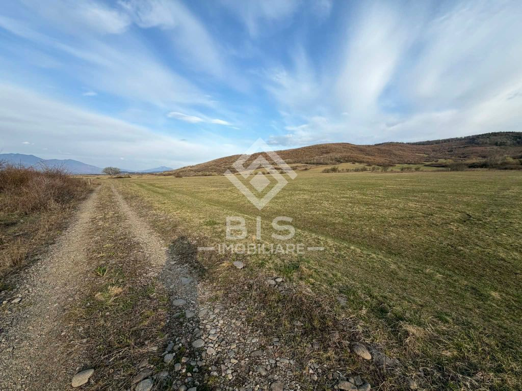 Teren de vanzare extravilan 1000mp - Aerodrom